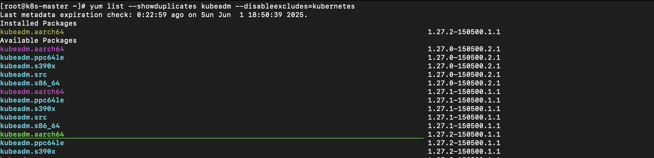 k8s install version check
