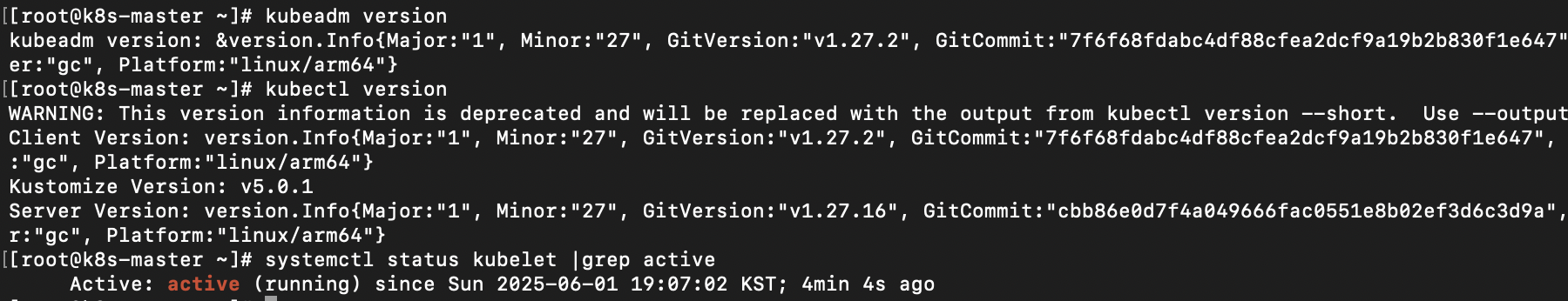 k8s status version check
