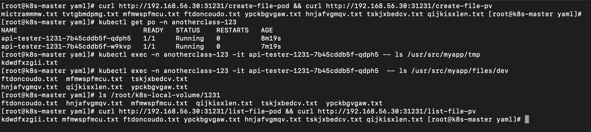 mission pv pvc hostPath test